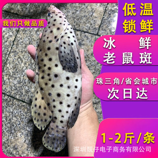 �r���������������r������~������~���rˮ�a�~�