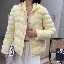 �nϵ90�����qᘿ�ñƴ����q��Ů�̿�2025���r���p��W�����e����