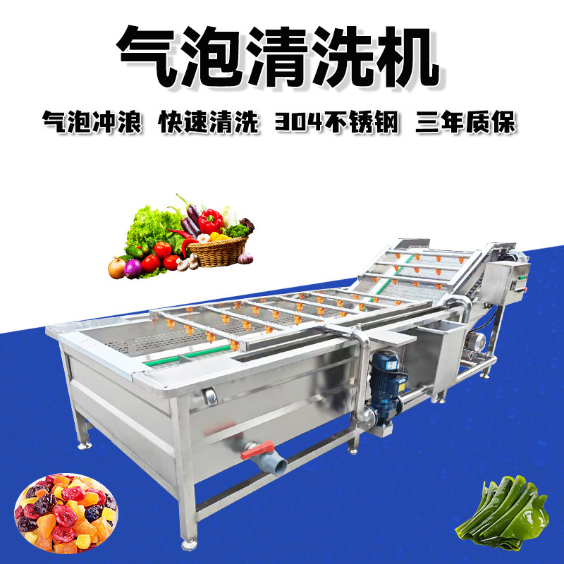 气泡清洗机全自动蔬菜喷淋式清洗设备桂圆干高压喷淋清洗机洗菜机