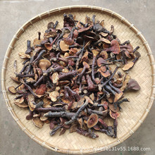 ɭ֮ۏVҰ֥Ұ`֥ݾMƬСt`֥