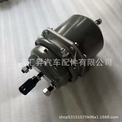 Other walking systems compartment MCY11