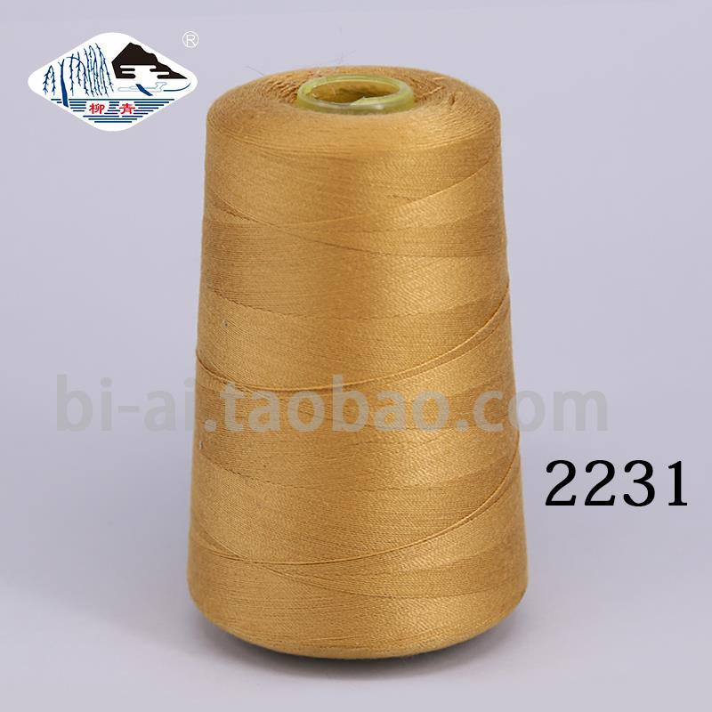 강황 202-중간굵기 2231