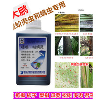 ���i�}�\�`���ͪ�隤�x�\�x���Ƙ�򻚤�x���پGֲ�ɘ䚢�x��