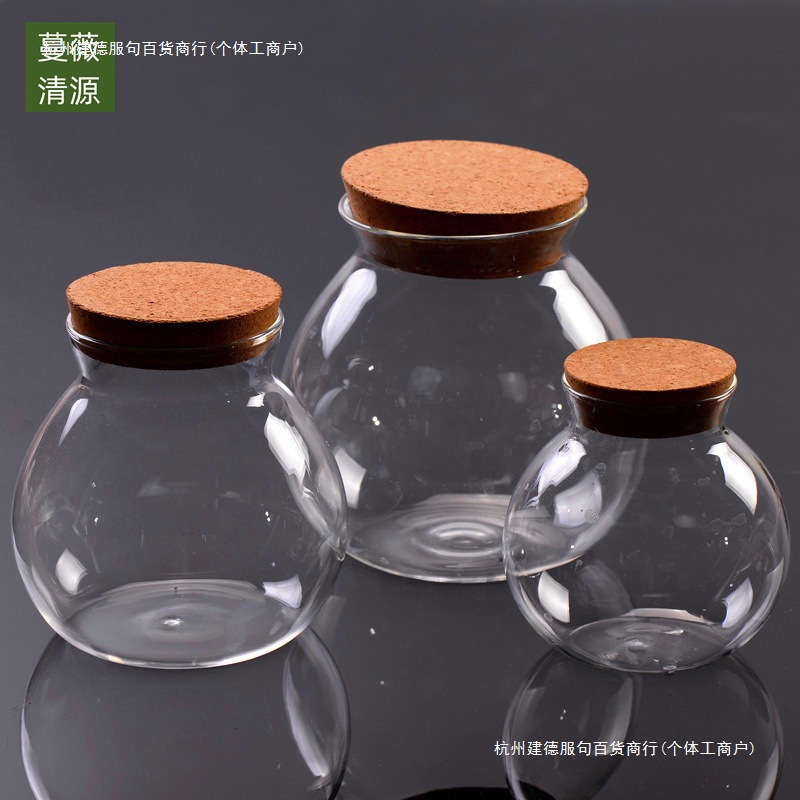 marimo海藻球微景观木塞玻璃瓶瓶水培植物创意花瓶球藻密封罐