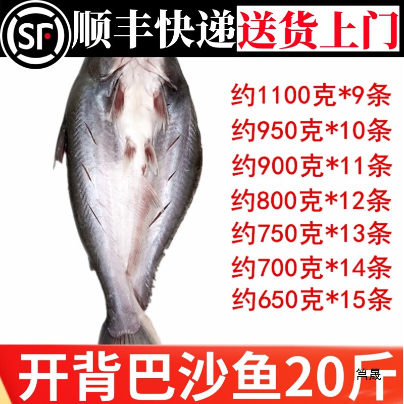 开背巴沙鱼商用湄公鱼烤鱼带皮无刺新鲜冷冻整条清江鱼整箱20斤