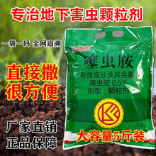 ���x���w���� ��Ʒ ���º��x���x�w����  ���@�߲� ���x��