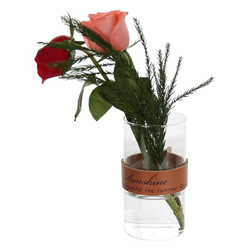 Jarrón de vidrio de cuero creativo nórdico simple transparente florero flor seca planta hidropónica florero Decoración