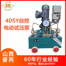 【厂家直供】4D-SY型立式防爆管道打压泵
