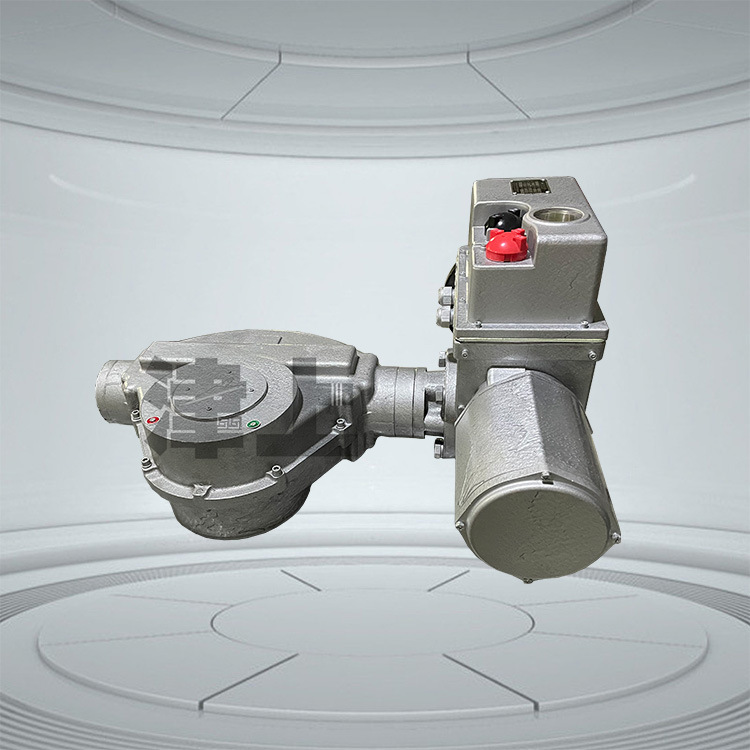 B+RS1000/K155ZT B+RS1000/F160ZT 伯纳德 反馈调节型电动装置