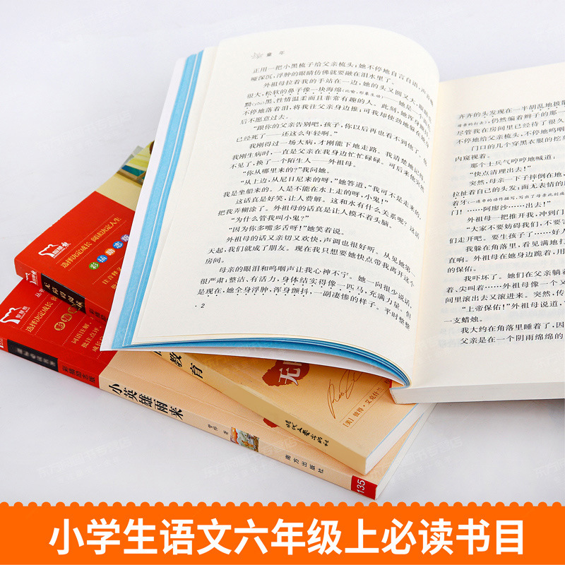 小英雄雨来童年爱的教育六年级必读上册课外书高尔基正版原著完整 3