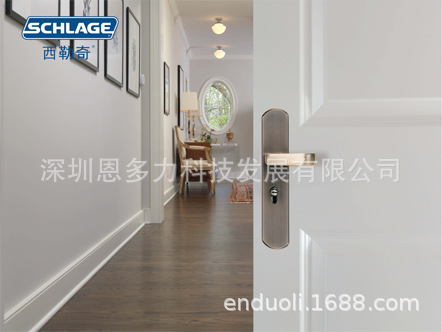 ���۹�Ӧ�1�3Schlage������ FD1030 ��е����о��