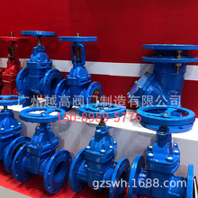 ���������l�y ܛ�ܷ���ī�T�FT450�l�y ���P�����ܛӲ�ܷ��y�T