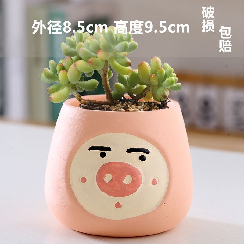 Macetas de cerámica para suculentas con diseño de animales de dibujos animados, pequeño tamaño, para estante de flores en casa, suministro al por mayor