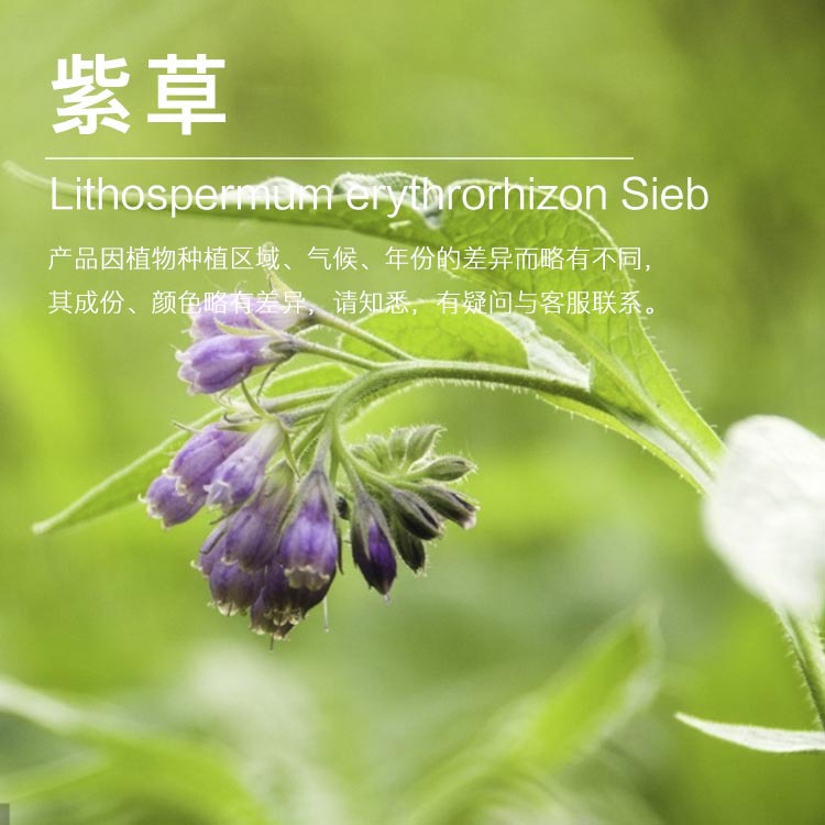 ���ҹ�Ӧ�ϲ��� �ϲݽ�����  ������ԭ������ ��ӭ�ɹ�