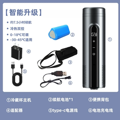 Insulin Refrigeration Box, Portable Rechargeable Soyuducular - titanium-silver-gray-smart-upgrade-1-set-of-batteries-travel-bag