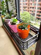 �̨�B���ڗU�Ғ�ʽ�Fˇ�o�ڻ����ܴ�̨���҃ȶ��⻨�ܼ��ӱڒ�