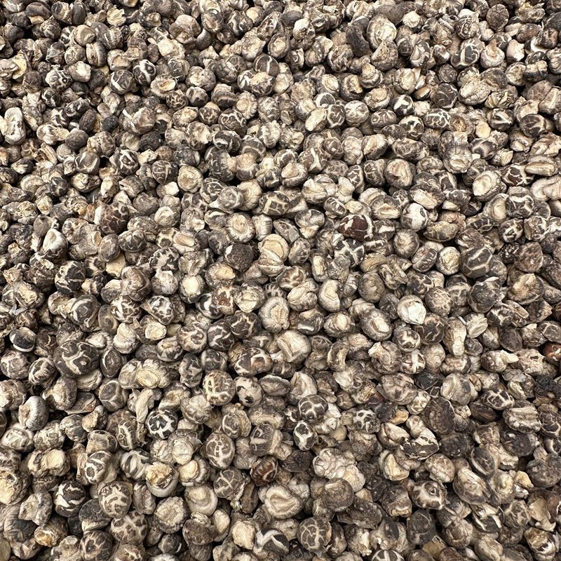 新货小花菇米干货农家土特产小香菇野生蘑菇珍珠菇袖珍菇家用商用