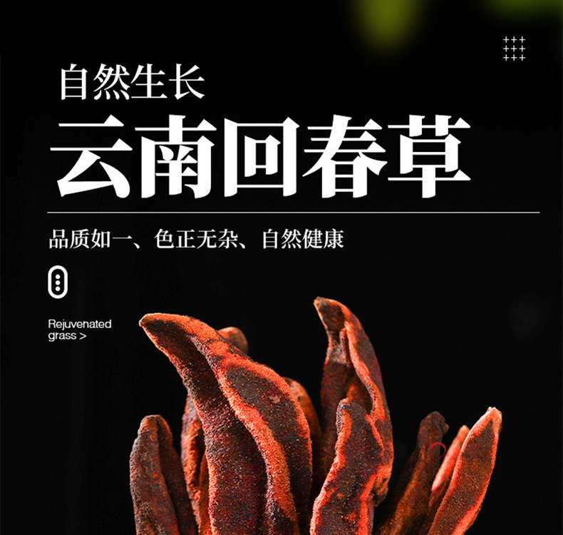 Huichuncao Dried Yunnan Herb Whole Plant 500g Traditional TCM Culinary Use overview