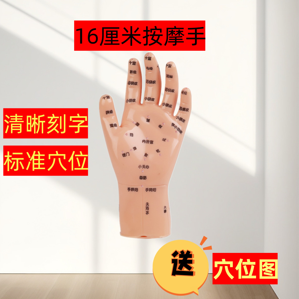 鍼灸のツボの人体の模型の漢方医の経絡の小さい銅人の十二経絡の人体の模型の男女の全身のツボの人