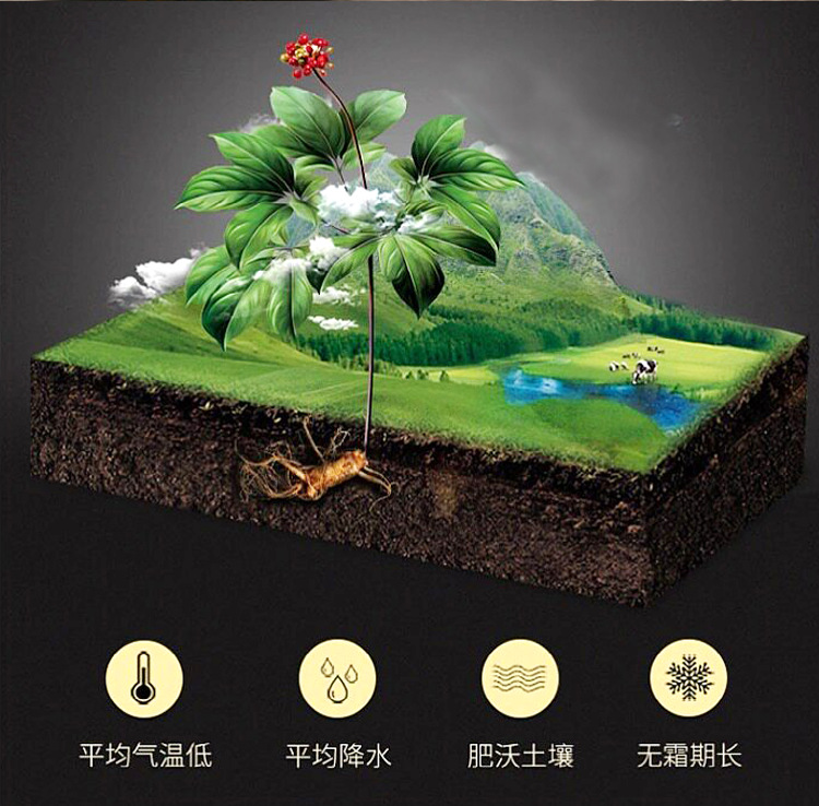 Nine-Steam Nine-Sun Black Ginseng Slices Changbai Mountain Korean Red Ginseng 500g key features