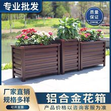 �X�Ͻ������ͥԺ�Nֲ��M����������̨���÷N�˰�ɫ���軨��