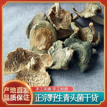 云南野生青头菌干货梨菇云南特产蘑菇绿豆菌野生菌干货青菇杂菌