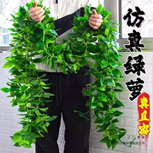 �G�}�~�ٗl�b٘��~�҃��������ϻ�ˮ�ܵ��ړ����{�G�~�ٗl