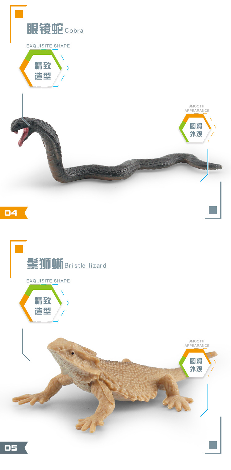 图层 8.jpg