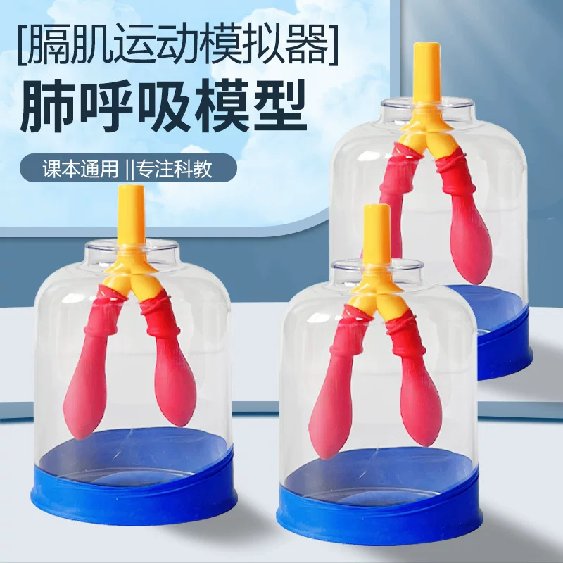 Respiratory sports physiological equipment, teaching aids, for secondary school, physical protection