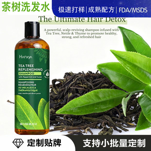 �羳Ӣ�Ĳ��ϴ�lˮϴ�l���������Tea tree Shampoo����ϴ�o���b