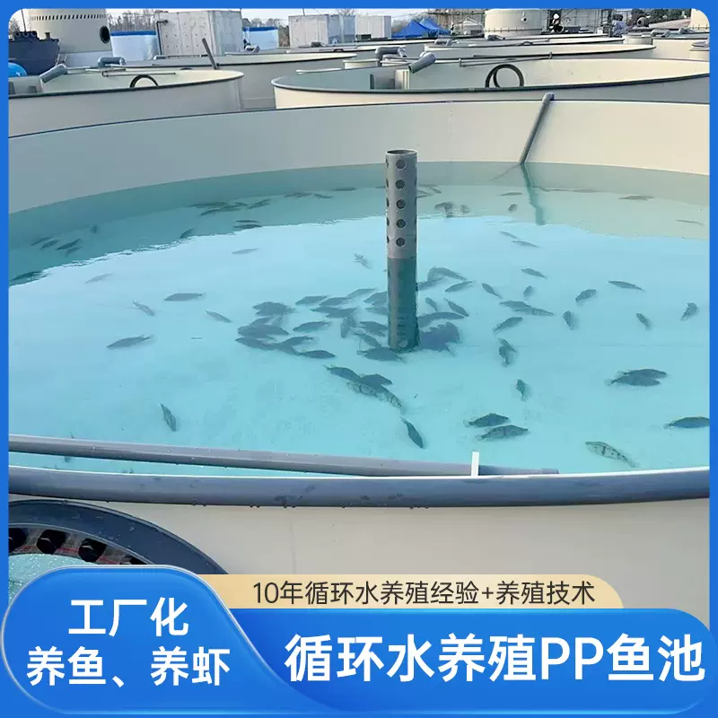 源头工厂循环水系统pp鱼池生化仓设计安装一体化高密度水产养殖池