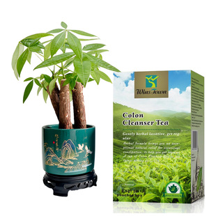 Winstown ganoderma lucidum tea���Ի������~teaenergy��M��