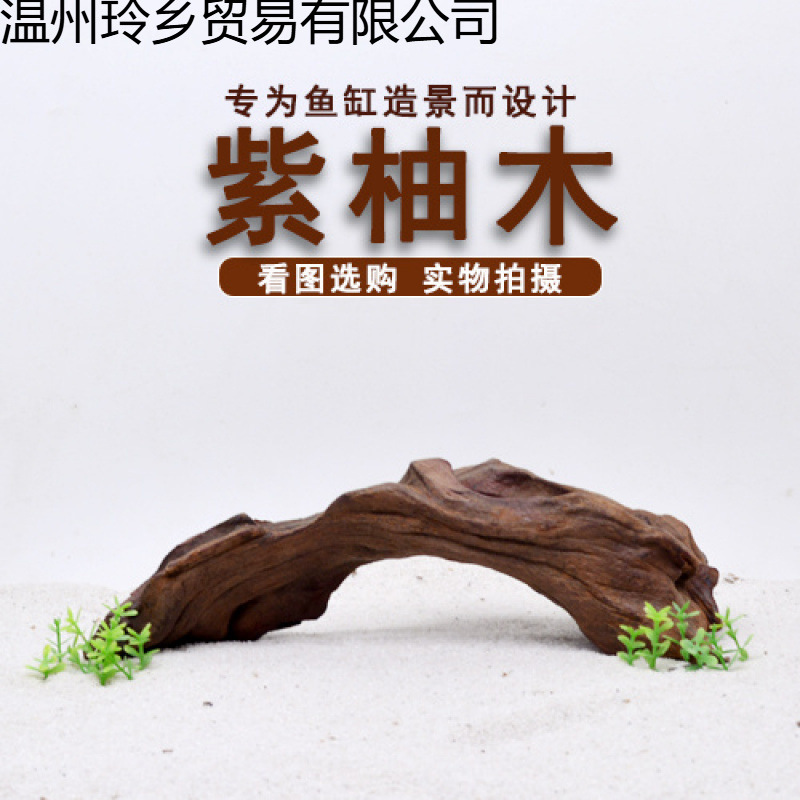 珊瑚木沉木鱼缸造景水陆缸栖根南美缸雨林缸跨境一件