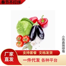 ſ�ز��˷N���ļ����˷N�����Ӵ�ȫ�����߲˶�������ѷN�ͺ��˷N