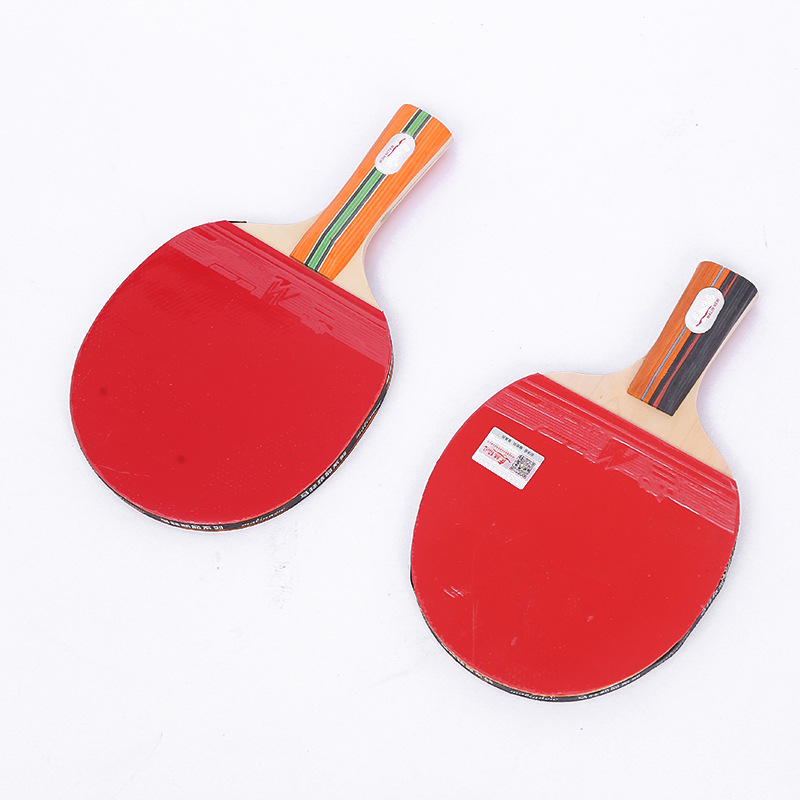 Malin Premium Table Tennis Racket, Beginner Table Tennis Racket, Horizontal and Vertical Grip, Single Racket for Training, Portable