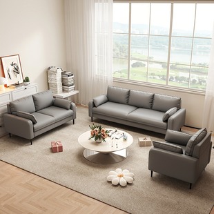 Living room apartment simple three-person lazy bedroom rental Internet celebrity sofa small apartment clothing store double seat