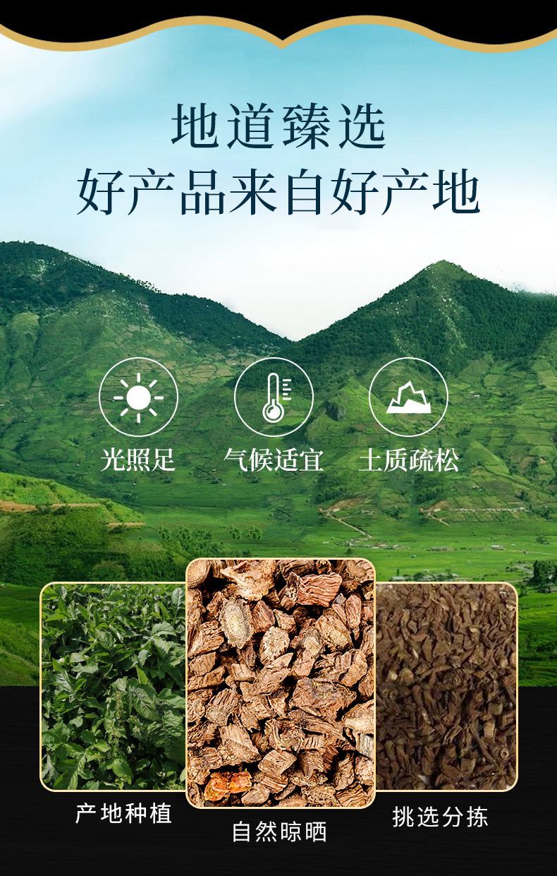 Xu Duan (Dipsacus asper) — Prepared Dried Root for TCM Soup & Tea overview