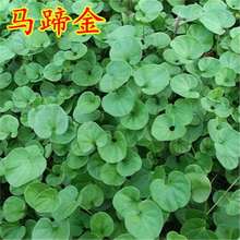 �R���N�� �~�X�ݷN�� ���� ˮ�໨�ܷN�� ���L�� �͟��ļ��׷N