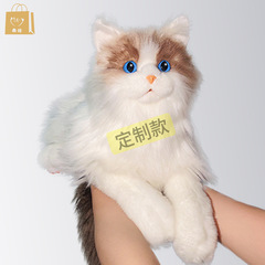 猫人形ラグドール猫人形ぬいぐるみ子供の誕生日プレゼント 2025 インターネット有名人シミュレーションおもちゃカスタマイズ