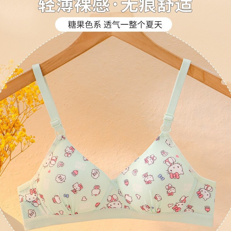 Sweet Girl Comfortable Bra for Women Without Underwire, Small Chest Push-Up, Summer Thin Style, Student Triangle Cup Bra Underwear