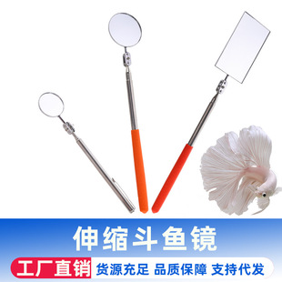 Folding Telescopic Betta Mirror, Plesiosaur Mirror, Aquarium Fish Tank, Fish Teasing Tool, Betta Tail Display, Plesiosaur Biting Tank Training