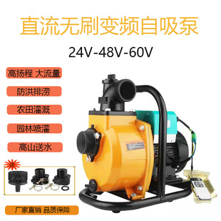 48V60V����׃�lꑵ������������r������ȫ�Ԅ�ˮ�ù��ֱ����ˮ��