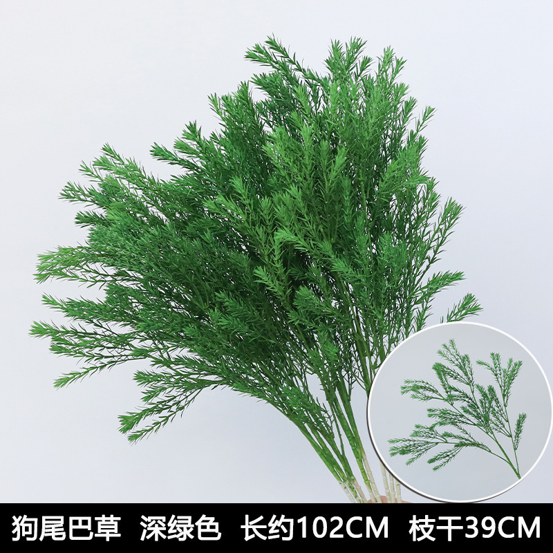 Dogtail Grass/Small Melaleuca Dark Green