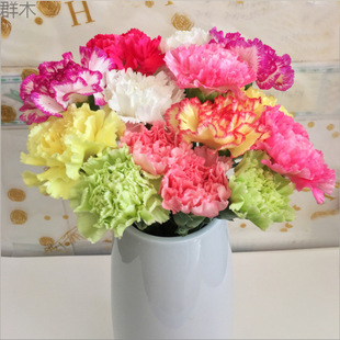 W Flowers Yunnan Direct Carnation Base Water Cultured Bouquet Kunming Birthday Mother's Day Nurses' Day Z