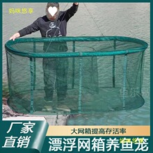 �Ӻ���������������ֳ�������Ư�����㻤���������۵���ھ�����