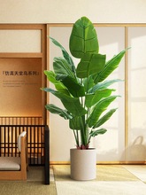 GֲBb҃ȸ߶pݿ͏d[˽Ԙ