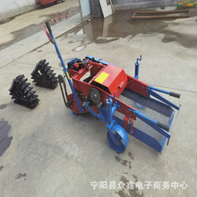 CoոCșCӺYșոCַ܇