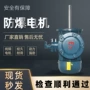 立式异步三相防爆电动机