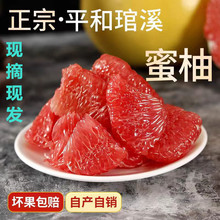 福建平和琯溪正宗红心蜜柚红肉新鲜孕妇水果三红柚子当季现摘白柚