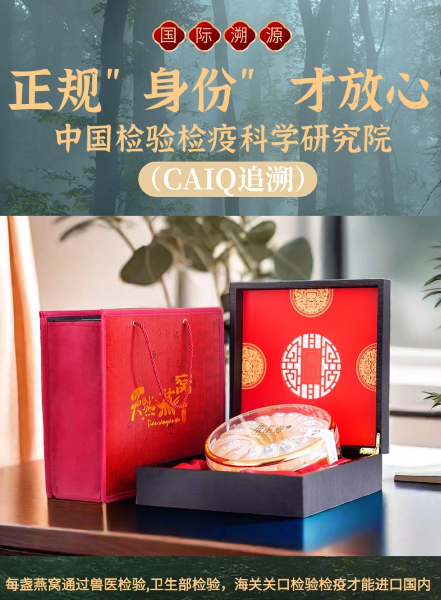 Premium White Bird's Nest Yan Wo Golden Swiftlet Nest Cups 100g Gift Box for Nourishing Soups overview